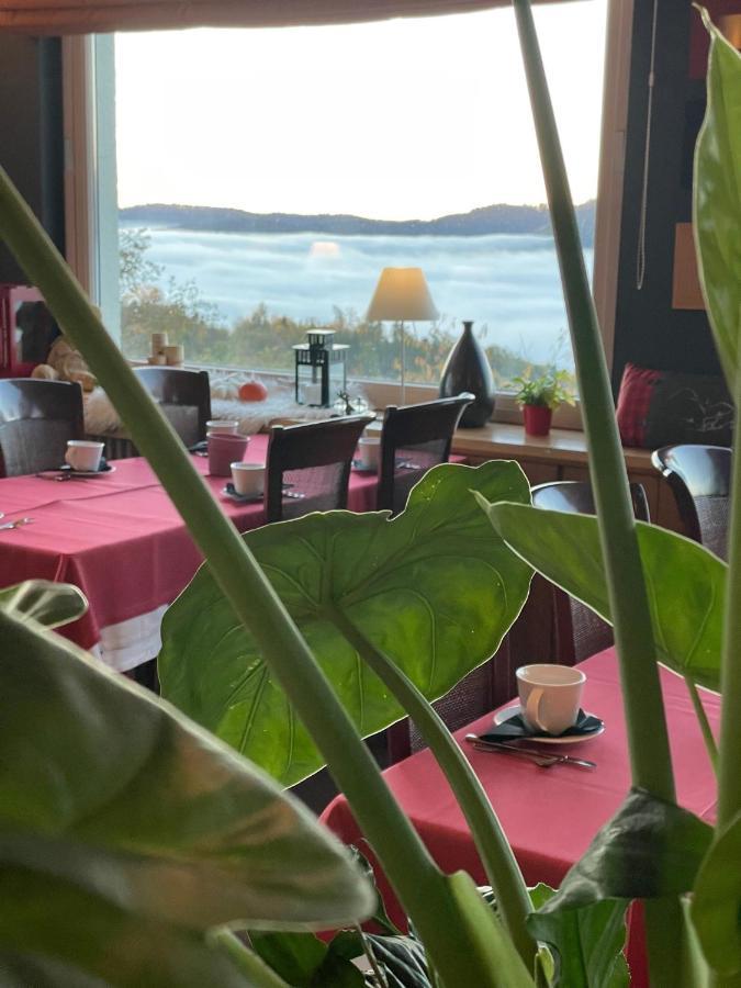Hotel Panorama Мюнстер Екстериор снимка